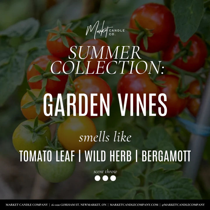 Garden Vines Soy Candle | Market Candle Company