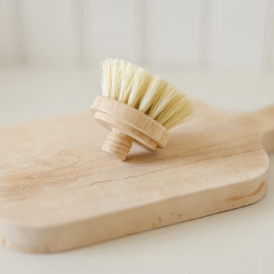 Replacement Dish Brush Head | Pure